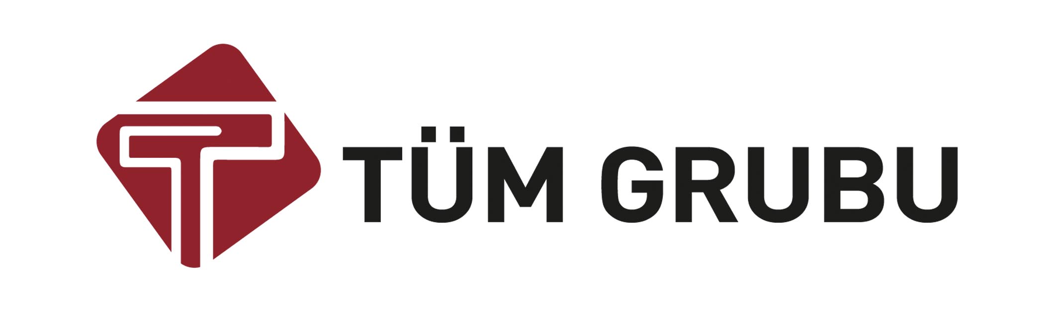Tüm Grubu Logo